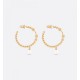 DIOR Dior has a high approval rating overseas! 2024SS earrings DIOR Dior has a high approval rating overseas! 2024SS earrings