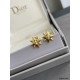 DIOR Dior 2024SS earrings that give an impression of adult sex appeal DIOR Dior 2024SS earrings that give an impression of adult sex appeal