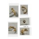 HERMES Comfortable to wear even in summer 2024SS earrings HERMES Comfortable to wear even in summer 2024SS earrings