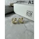 LOEWE Conspicuous fresh popular new 2024SS earrings LOEWE Conspicuous fresh popular new 2024SS earrings