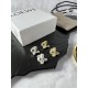 LOEWE Conspicuous fresh popular new 2024SS earrings LOEWE Conspicuous fresh popular new 2024SS earrings