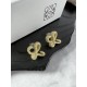 LOEWE Conspicuous fresh popular new 2024SS earrings LOEWE Conspicuous fresh popular new 2024SS earrings