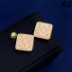LOEWE Gentle luxury popular color 2024SS earrings LOEWE Gentle luxury popular color 2024SS earrings