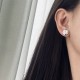 Spring/summer limited standard 2024SS earrings LOUIS VUITTON Louis Vuitton Spring/summer limited standard 2024SS earrings LOUIS VUITTON Louis Vuitton
