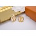 2024SS LOUIS VUITTON Louis Vuitton earrings affordable! Stylish