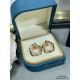 Highly popular 2024SS earrings PIAGET Highly popular 2024SS earrings PIAGET