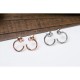 2024SS PIAGET Piaget earrings Spring/summer arrival limited sale price 2024SS PIAGET Piaget earrings Spring/summer arrival limited sale price