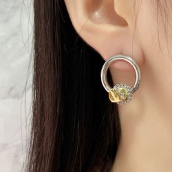 Welcome this season 2024SS earrings VALENTINO