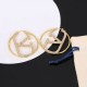 Extremely popular 2024SS earrings VALENTINO Extremely popular 2024SS earrings VALENTINO