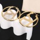 Extremely popular 2024SS earrings VALENTINO Extremely popular 2024SS earrings VALENTINO