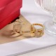 Support soars 2024SS earrings VALENTINO Support soars 2024SS earrings VALENTINO