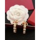 VALENTINO Seasonal Design 2024SS Earrings VALENTINO Seasonal Design 2024SS Earrings