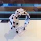 Popular summer item 2024SS hair ornament CHANEL Popular summer item 2024SS hair ornament CHANEL