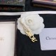 Enjoy casual fashion 2024SS hair ornament DIOR Enjoy casual fashion 2024SS hair ornament DIOR