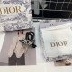 2024SS hair ornaments that are useful every season DIOR 2024SS hair ornaments that are useful every season DIOR