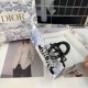2024SS hair ornaments that are useful every season DIOR 2024SS hair ornaments that are useful every season DIOR