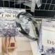Standout Fresh Popular New 2024SS Hair Ornament DIOR Dior Standout Fresh Popular New 2024SS Hair Ornament DIOR Dior