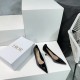 2024SS Domestic rare! Very popular DIOR ladies high heels 2024SS Domestic rare! Very popular DIOR ladies high heels