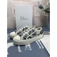DIOR 2024FW Women's Casual Shoes This season has a fashionable feel DIOR 2024FW Women's Casual Shoes This season has a fashionable feel
