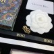 DIOR New Limited Gorgeous Cute 2024SS Ring DIOR New Limited Gorgeous Cute 2024SS Ring