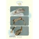HERMES Perfect item for summer 2024SS Ring HERMES Perfect item for summer 2024SS Ring