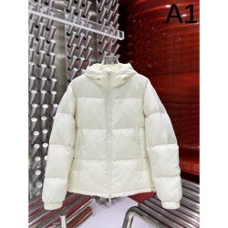 2024FW GUCCI Gucci extremely popular down jacket for men