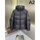 2024FW LOUIS VUITTON Low price high quality men's down jacket 2024FW LOUIS VUITTON Low price high quality men's down jacket