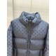 2024FW LOUIS VUITTON Latest design men's down jacket 2024FW LOUIS VUITTON Latest design men's down jacket