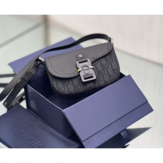 2024SS New Limited Quantity Sale DIOR Shoulder Bag