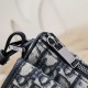 2024SS No. 1 in total cumulative sales! DIOR Shoulder bag 2024SS No. 1 in total cumulative sales! DIOR Shoulder bag