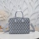 2024SS No. 1 cumulative sales total DIOR Dior briefcase 2024SS No. 1 cumulative sales total DIOR Dior briefcase
