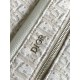 2024SS new products suddenly reduced in price! DIOR Dior backpack 2024SS new products suddenly reduced in price! DIOR Dior backpack