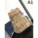 2024SS People Casual Style DIOR Dior Backpack 2024SS People Casual Style DIOR Dior Backpack