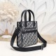 2024FW Shoulder bag DIOR Dior now a standard item popular item 2024FW Shoulder bag DIOR Dior now a standard item popular item