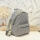 2024FW Backpack DIOR Dior This season's explosively popular standard product 2024FW Backpack DIOR Dior This season's explosively popular standard product