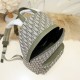 2024FW Backpack DIOR Dior This season's explosively popular standard product 2024FW Backpack DIOR Dior This season's explosively popular standard product
