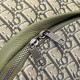 2024FW Backpack DIOR Dior This season's explosively popular standard product 2024FW Backpack DIOR Dior This season's explosively popular standard product