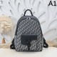 2024FW Backpack DIOR Dior fashion level goes up a notch 2024FW Backpack DIOR Dior fashion level goes up a notch