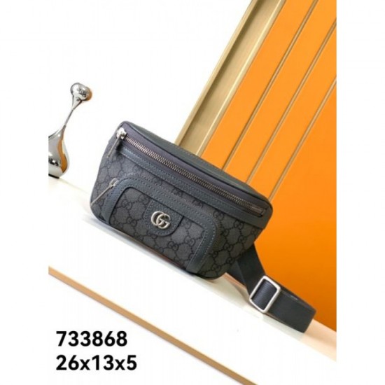 2024FW waist bag GUCCI Gucci latest season has arrived 2024FW waist bag GUCCI Gucci latest season has arrived