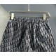 2024SS Summer new item that is sure to be a hit this season DIOR Shorts 2024SS Summer new item that is sure to be a hit this season DIOR Shorts