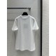 2024SS Short Sleeve T-shirt LOUIS VUITTON Adult-like texture 2024SS Short Sleeve T-shirt LOUIS VUITTON Adult-like texture