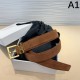 CELINE 2024SS belt, an item that brings out the texture of the material CELINE 2024SS belt, an item that brings out the texture of the material