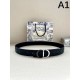 DIOR Fashionable spring/summer style 2024SS belt DIOR Fashionable spring/summer style 2024SS belt