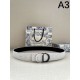 DIOR Fashionable spring/summer style 2024SS belt DIOR Fashionable spring/summer style 2024SS belt
