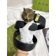 GUCCI Gucci Summer Must-have Brand New 2024SS Belt GUCCI Gucci Summer Must-have Brand New 2024SS Belt