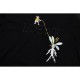 2024SS Eye-catching style this summer LOEWE Short sleeve T-shirt 2024SS Eye-catching style this summer LOEWE Short sleeve T-shirt