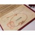CARTIER Cartier Style 2024SS Bracelet for Summer