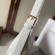 Bright atmosphere 2024SS tote bag CELINE Bright atmosphere 2024SS tote bag CELINE