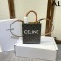 Limited quantity miraculous arrival 2024SS tote bag CELINE