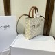 Limited quantity miraculous arrival 2024SS tote bag CELINE Limited quantity miraculous arrival 2024SS tote bag CELINE